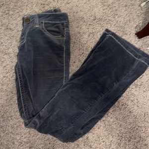 Twill Twenty Two Low Rise contrast Stitch Flare velvet pants